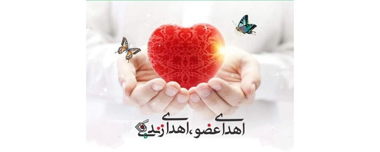 هفته اهدا عضو، اهدای زندگی
